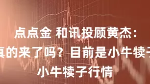 点点金 和讯投顾黄杰：牛市真的来了吗？目前是小牛犊子行情