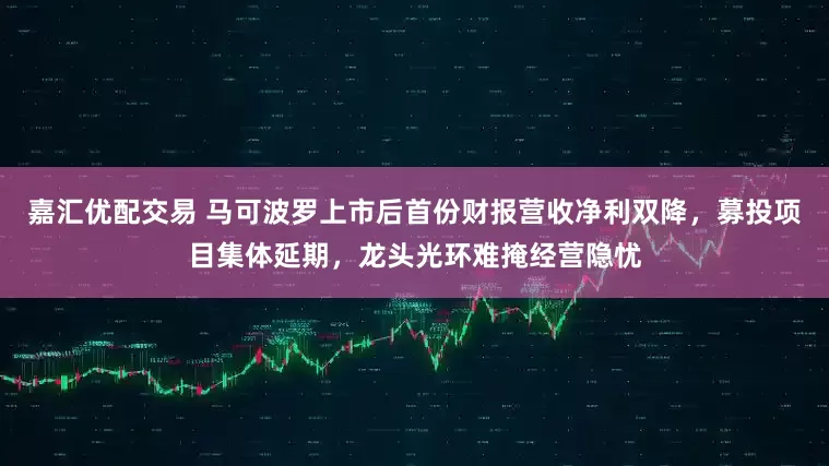 嘉汇优配交易 马可波罗上市后首份财报营收净利双降，募投项目集体延期，龙头光环难掩经营隐忧