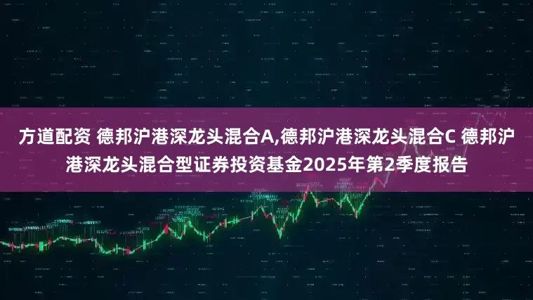 方道配资 德邦沪港深龙头混合A,德邦沪港深龙头混合C 德邦沪港深龙头混合型证券投资基金2025年第2季度报告
